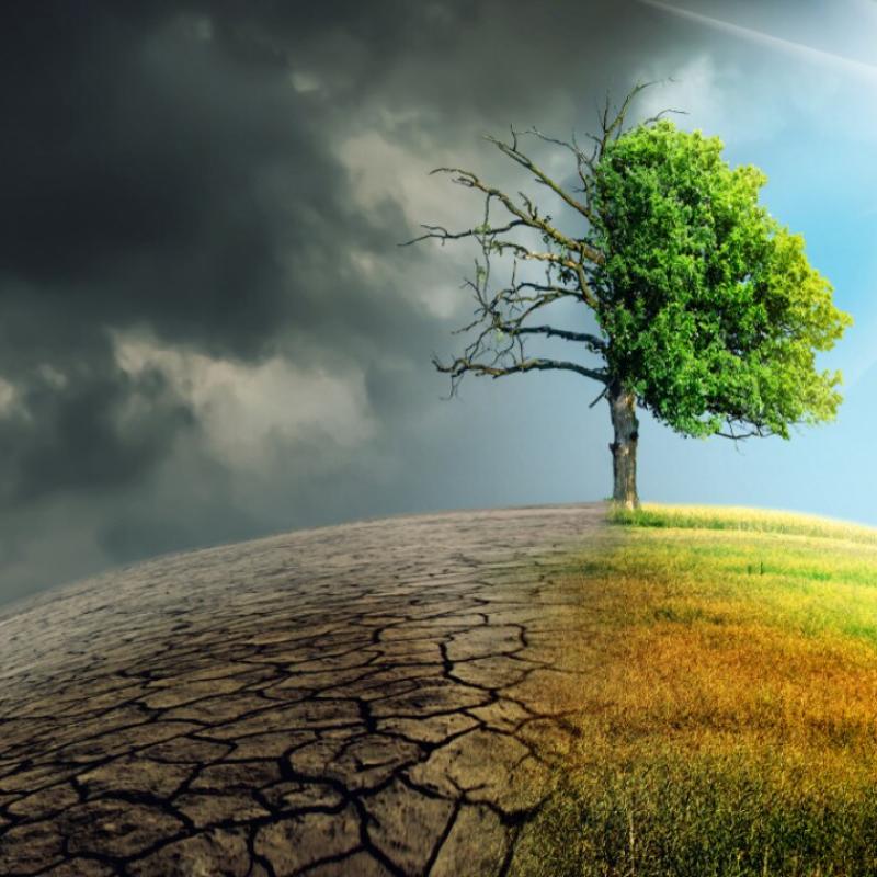 L’ecoansia tra climate fiction ed ecofantasy